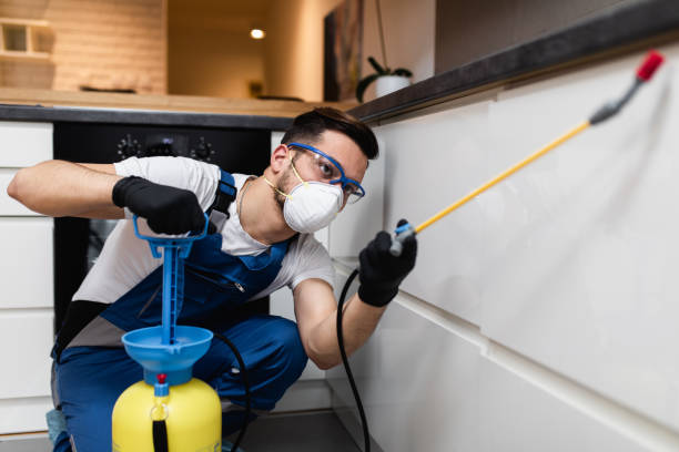 Best Best Pest Control Companies  in Gold River, CA