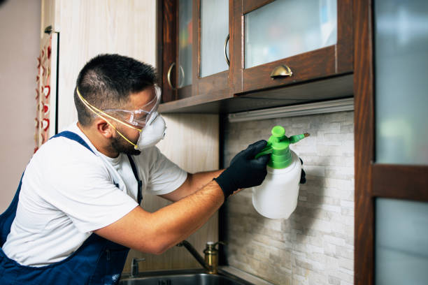 Best Mosquito Control Services  in Gold River, CA