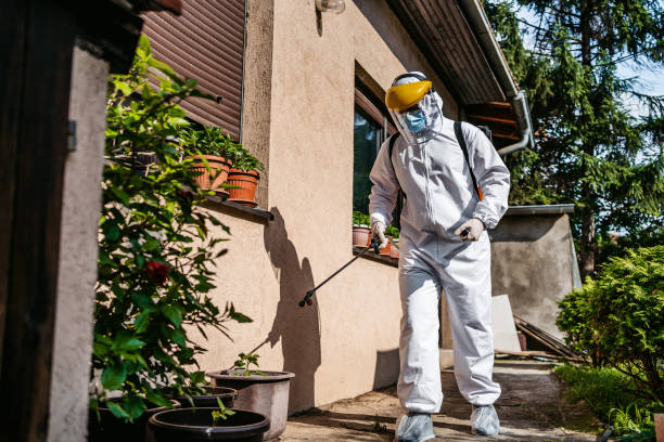 Reliable Gold River, CA Pest Control Solutions