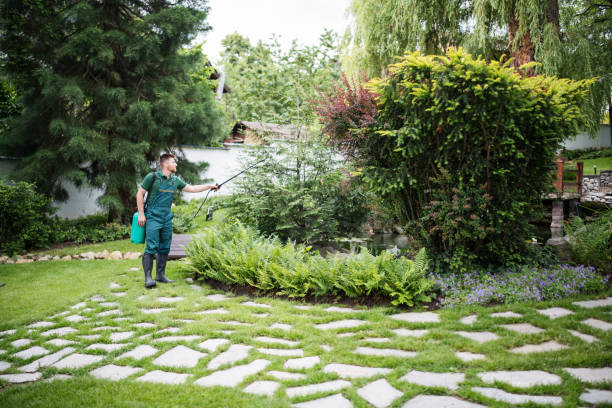 Best Pest Control Near Me  in Gold River, CA